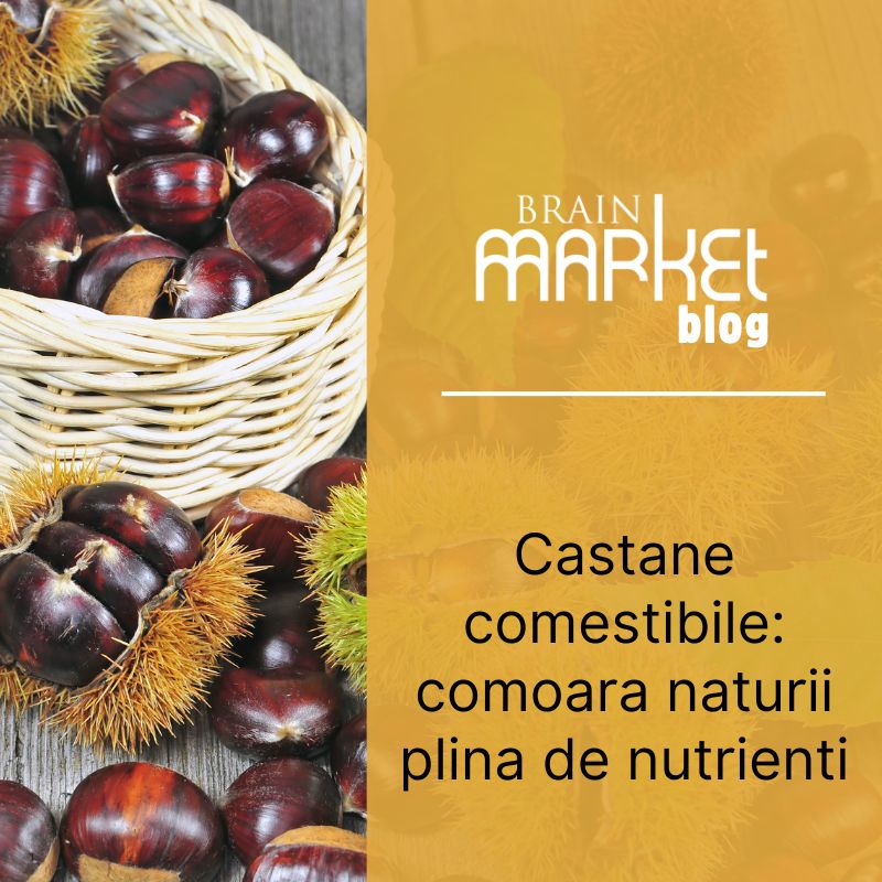 Castanele comestibile: Trezorul naturii plin de nutrienți